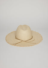 Fringed Traveler Continental